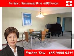 Blk 413 Sembawang Drive (Sembawang), HDB 5 Rooms #123516262